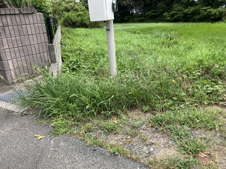 東岐波　売地の外観