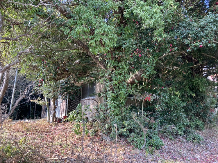 車地 売地 古家付現況渡しの外観